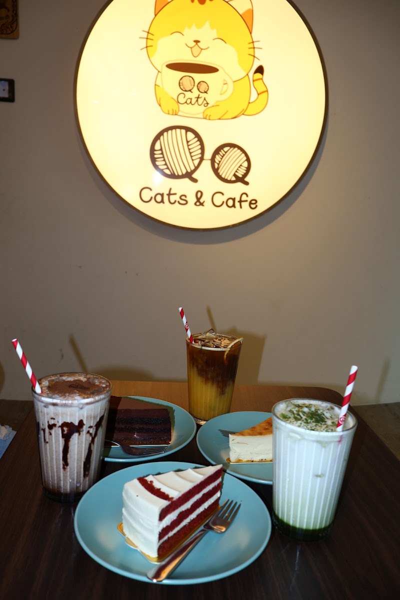 QQ Cats & Cafe - QQ Cats & Cafe 262 Balestier Rd, #01-03, Singapore 329714