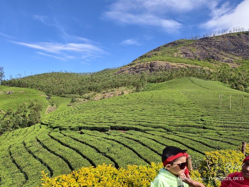 Photo Point - Photo Point, Munnar - Top Station Hwy, Kannan Devan Hills, Kerala 685616, India