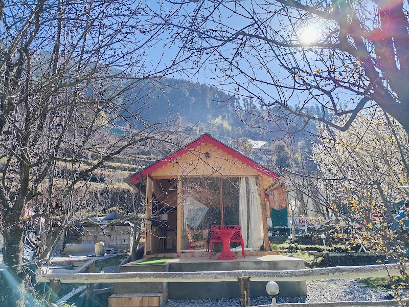 The Acoustic cabins jibhi