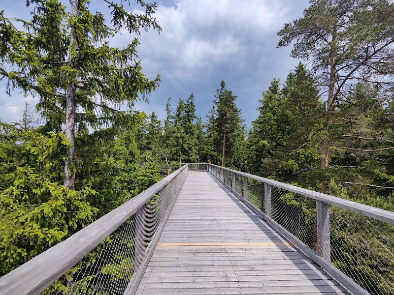 Treetop Trail Lipno - Treetop Trail Lipno, Lipno nad Vltavou 307, 382 78 Lipno nad Vltavou, Czechia