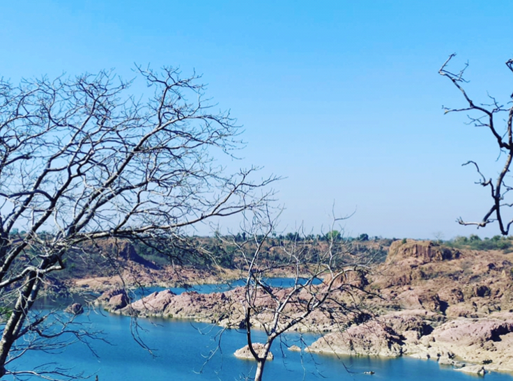 PANNA NATIONAL PARK SAFARI - PANNA NATIONAL PARK SAFARI, near Payal hotel, Sevagram, Khajuraho, Madhya Pradesh 471606, India