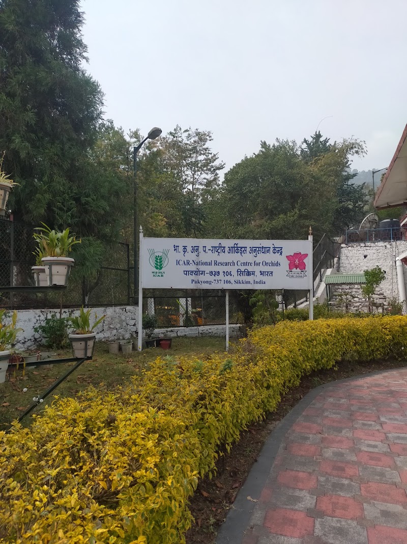 ICAR - National Research Centre for Orchids - ICAR - National Research Centre for Orchids 6HJR+H3V, Dikling Rd, Pakyong, Sikkim 737106, India