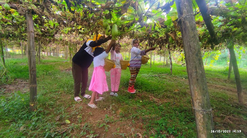Paradise Point Farmstay - Paradise Point Farmstay 24XW+4XQ, Relling, West Bengal 734201, India
