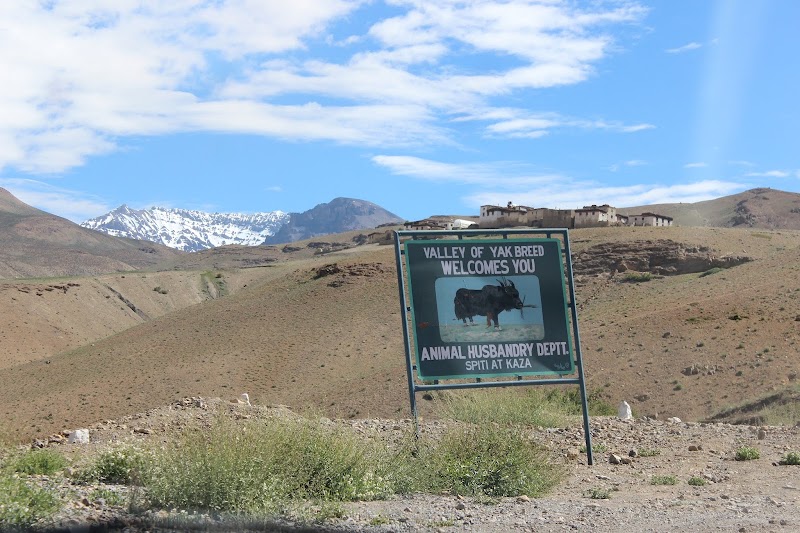Kibber Gompa - Kibber Gompa, 82M6+726, Kibber, Kiber Khas, Himachal Pradesh 172114, India