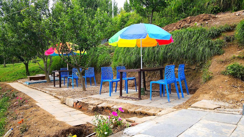 Tandi Mountain Cottage - Tandi Mountain Cottage, Tandi, Himachal Pradesh 175123, India