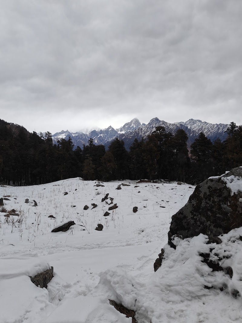 Tali Forest Camp - Tali Forest Camp, FHFF+G5, Salud Dugra, Uttarakhand 246483, India