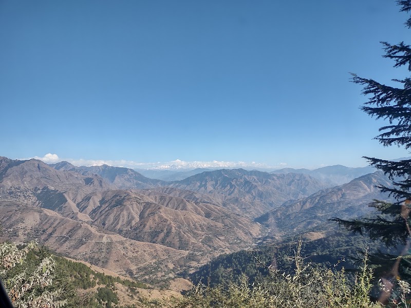 Deoban Forest Rest House - Deoban Forest Rest House, PVX8+6G7, Jadi, Uttarakhand 248123, India
