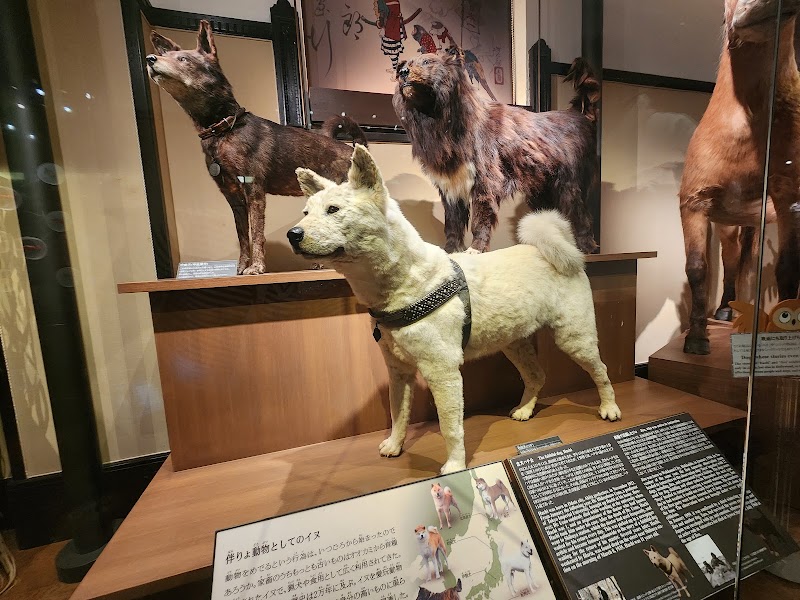 National Museum of Nature and Science - National Museum of Nature and Science 7-20 Uenokōen, Taito City, Tokyo 110-8718, Japan