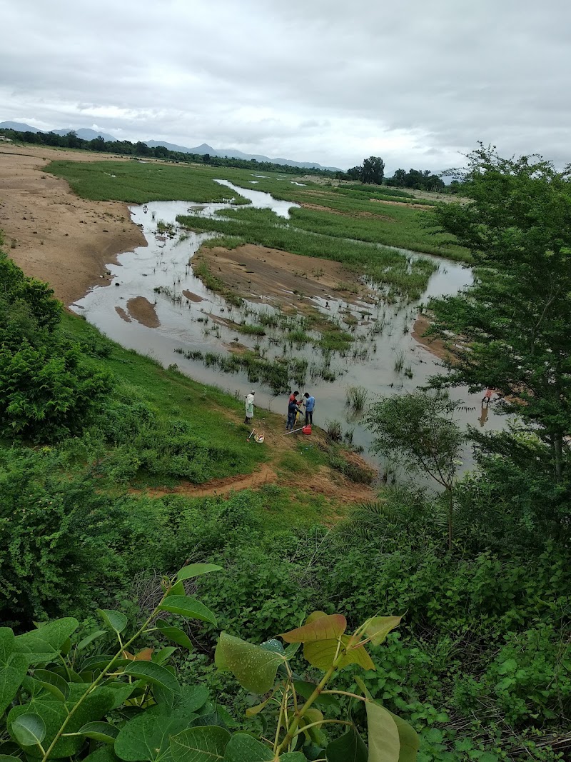 Forest Range Office (T) - Forest Range Office (T) 3JWJ+W4H, Palsapara, Odisha 766108, India