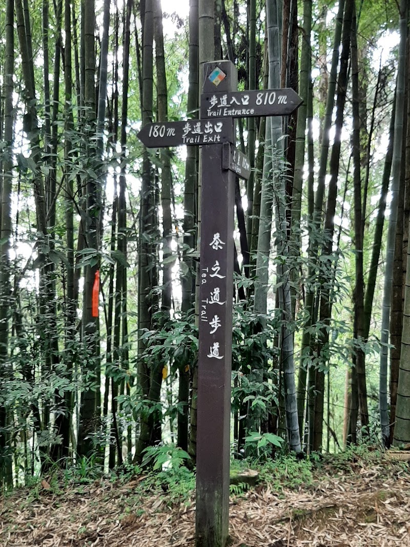 Tea Trail - Tea Trail 605, Taiwan, Chiayi County, Alishan Township, 樂野村