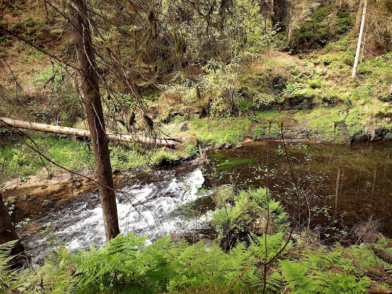 Gorge Parking - Gorge Parking, Suchá Bělá, 407 17 Hřensko, Czechia