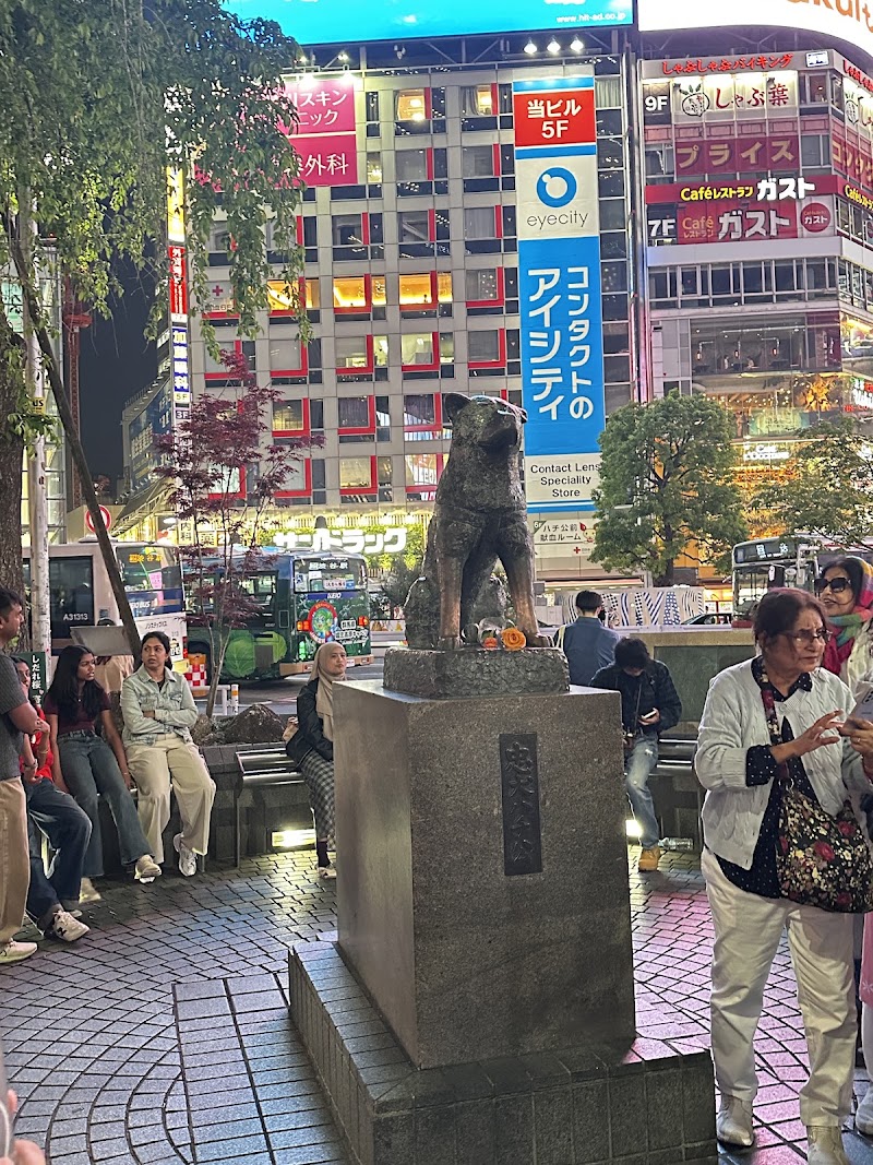 Hachiko Statue - Hachiko Statue 2 Chome-1 Dogenzaka, Shibuya, Tokyo 150-0043, Japan