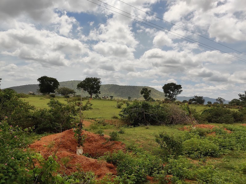 Kollegala - Kollegala, Karnataka, India