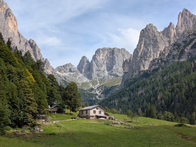 Parco Naturale Paneveggio Pale di San Martino - Parco Naturale Paneveggio Pale di San Martino Località Castelpietra, 2, 38054 Primiero San Martino di Castrozza TN, Italy