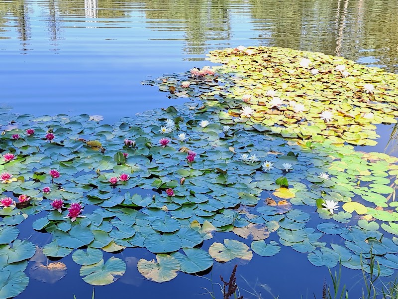 Letná Pond - Letná Pond Letenské sady 173, 170 00 Praha 7-Holešovice, Czechia