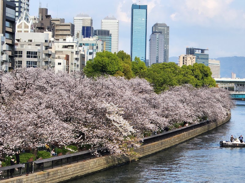 Nakanoshima Park - Nakanoshima Park 1 Chome-1 Nakanoshima, Kita Ward, Osaka, 530-0005, Japan