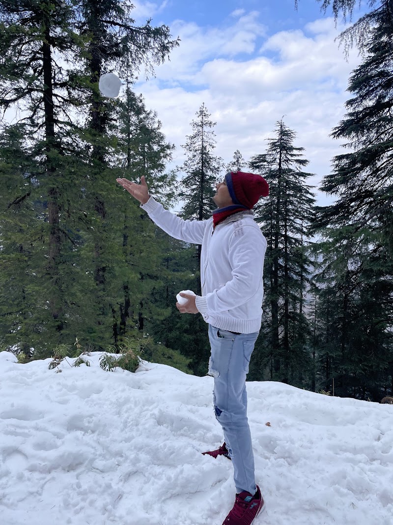 Deoban Trekking (Kaushik's Cafe & Trek) - Deoban Trekking (Kaushik's Cafe & Trek), Lohari Lokhandi, Chakrata, Luhari, Uttarakhand 248123, India