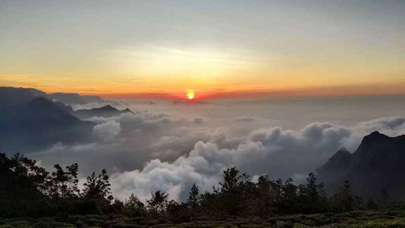 The Travel Cafe - The Travel Cafe, 63, Eastern Villas Rd, Thrikkakara, Kakkanad, Kochi, Kerala 682037, India