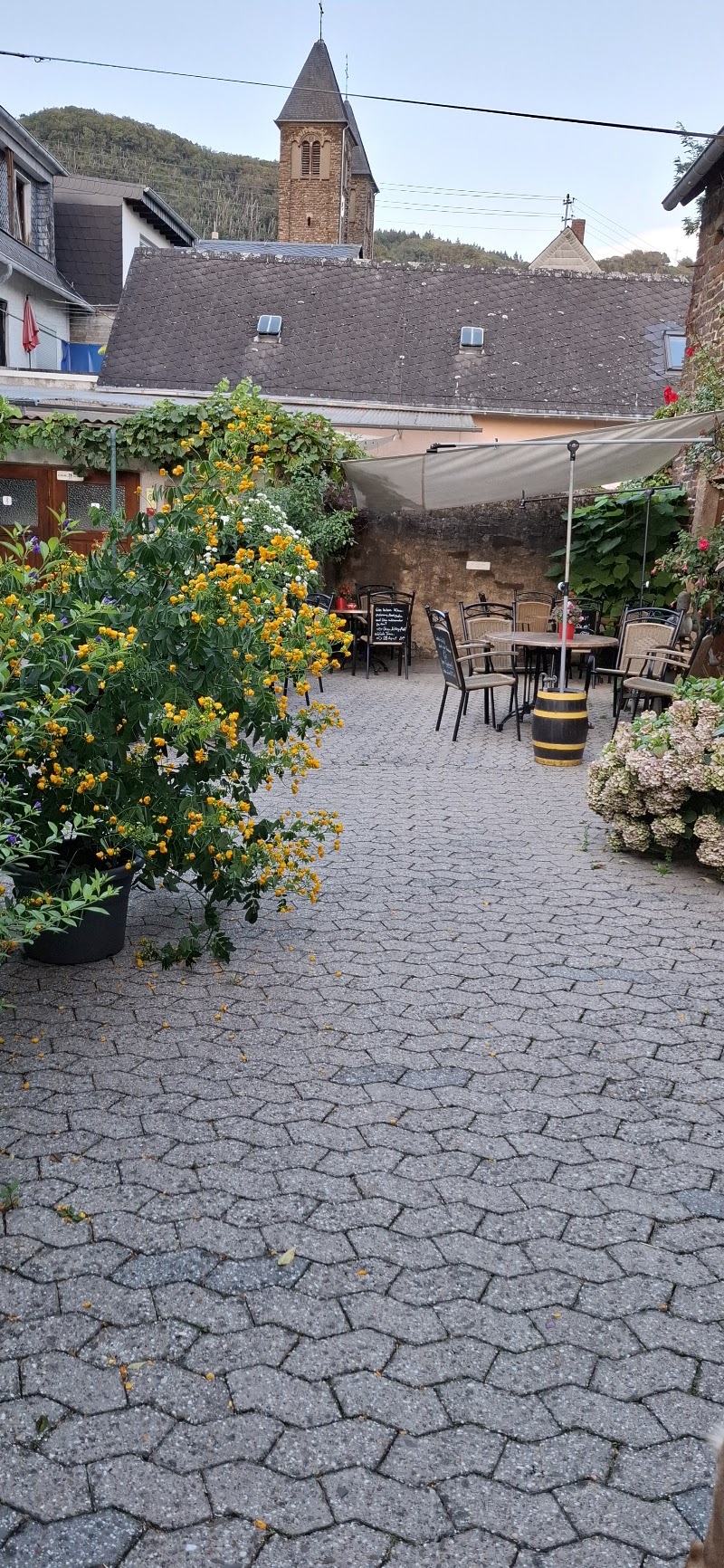 Weingut Hommes - Weingut Hommes, Moselstraße 41, 56814 Ernst-Valwigerberg, Germany