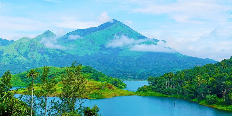 We Well Holidays - We Well Holidays Green Cove Resorts Near Sengulam Dam Anachal, Munnar, Kerala 685565, India