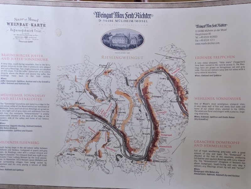 Weingut Max Ferd. Richter - Weingut Max Ferd. Richter, Hauptstraße 85, 54486 Mülheim an der Mosel, Germany