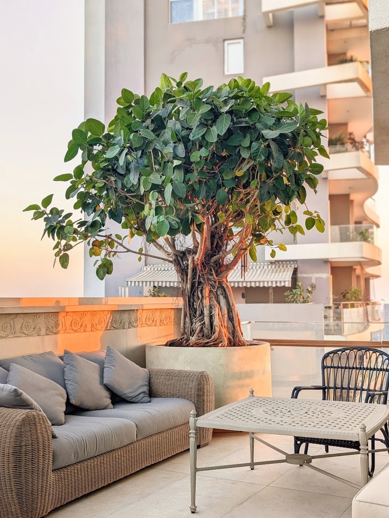Plant People - Plant People Ground Floor, Raghuvanshi Mansion, Raghuvanshi Mills, Gandhi Nagar, Upper Worli, Worli, Mumbai, Maharashtra 400013, India