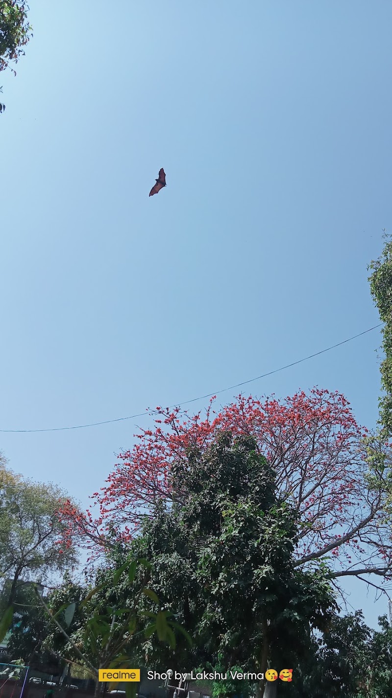 Tau devi lal park