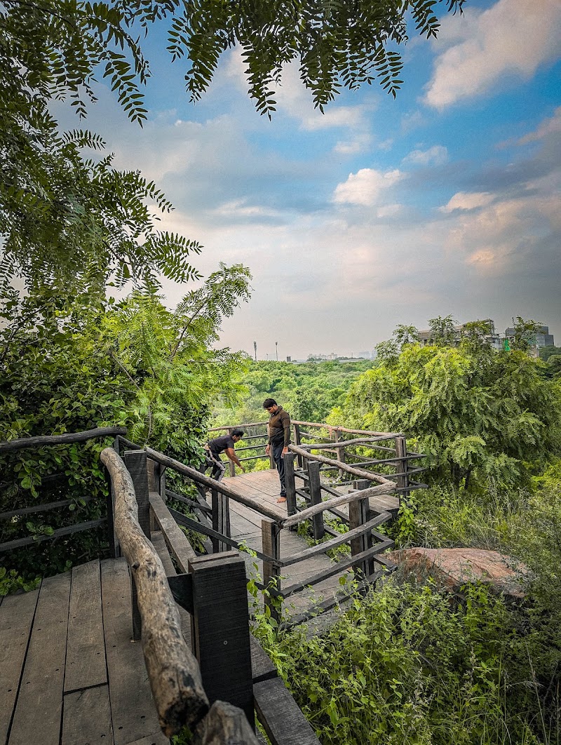 Aravali Biodiversity Park - Aravali Biodiversity Park F4J6+PJ4, Acharya Shree Tulsi Marg, DLF Phase 3, Sector 24, Gurugram, Haryana 122002, India
