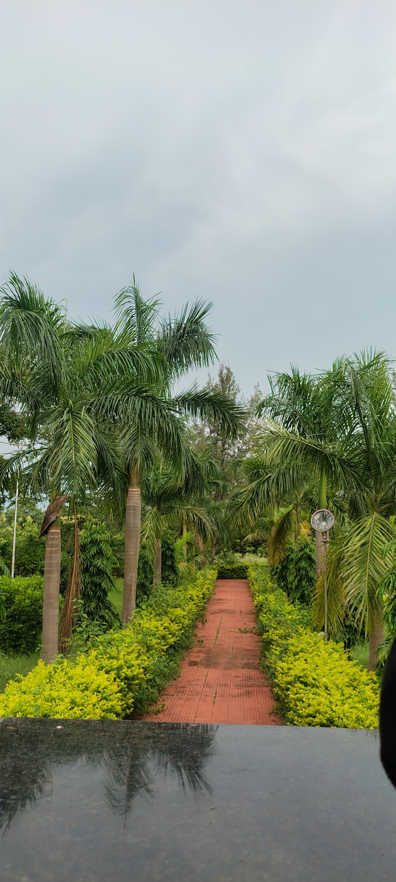 Indira Gandhi Park - Indira Gandhi Park, C877+8G7, Dangabahal, Odisha 767070, India