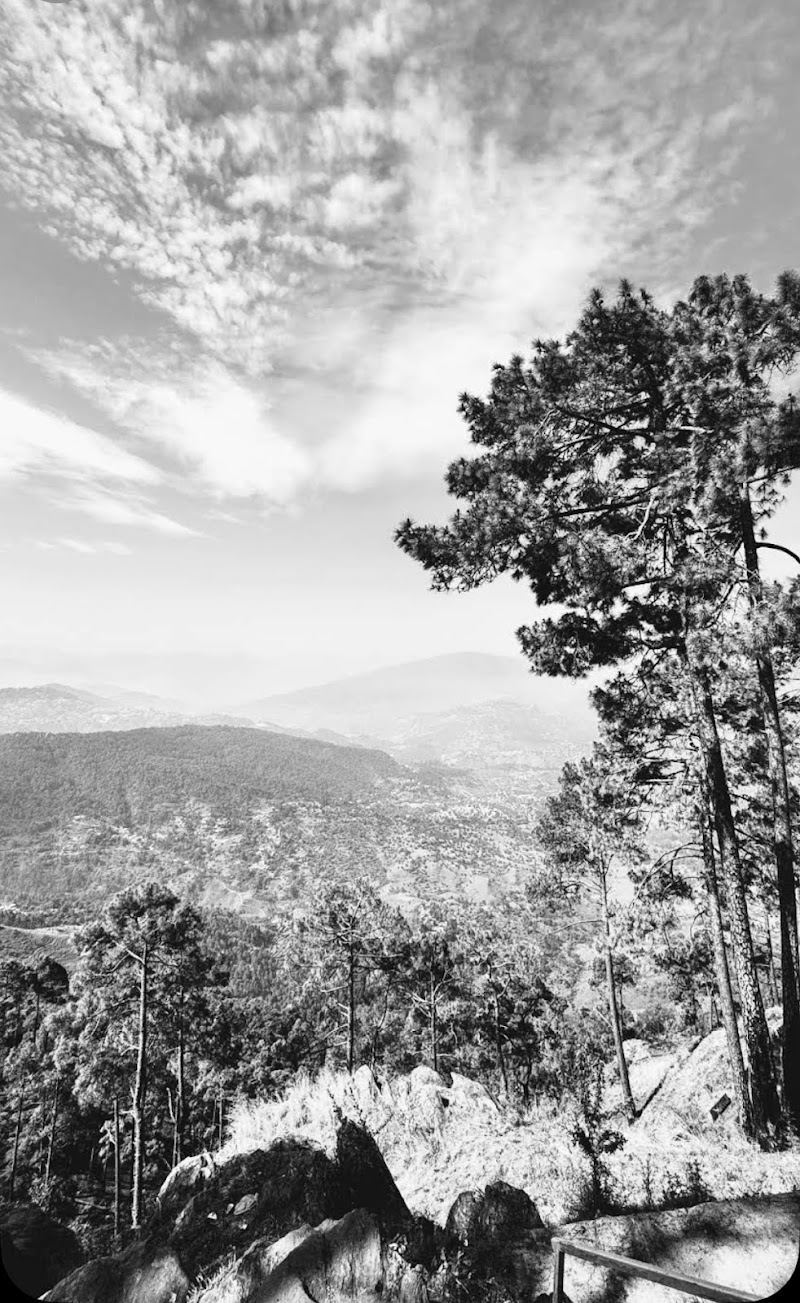 OYO Home 63758 Peaceful Stay Mukteshwar - OYO Home 63758 Peaceful Stay Mukteshwar, The peace, jungle home stay, near TRH guest house, Mukteshwar, Uttarakhand 263138, India