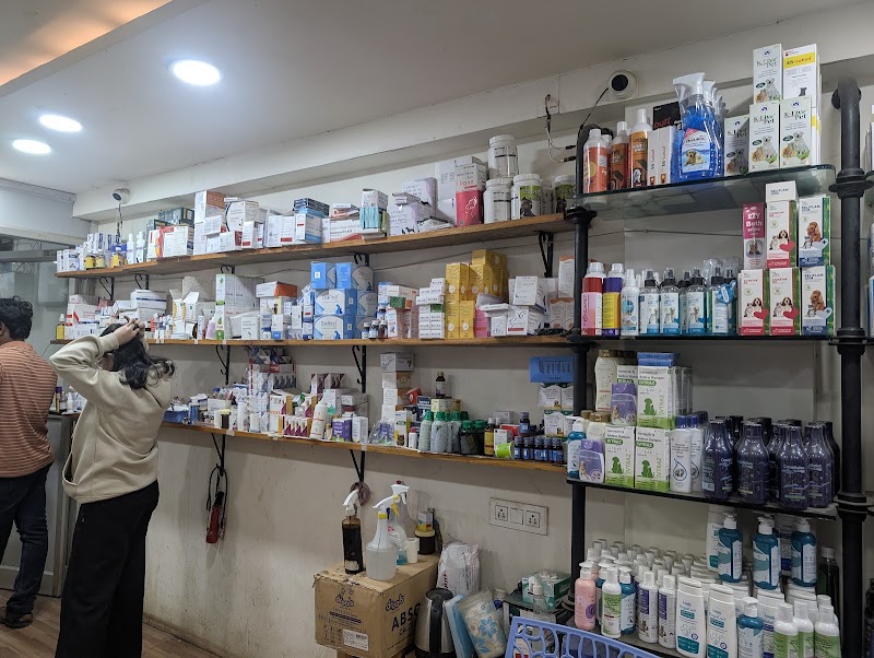VETCARE PET CLINIC - VETCARE PET CLINIC Vetcare Shop no.110, Chouhan Dream Homes Complex, Nehru Nagar Main Rd, near Hitek Hospital, below SBI bank, Block J, Smriti Nagar, Bhilai, Chhattisgarh 490020, India
