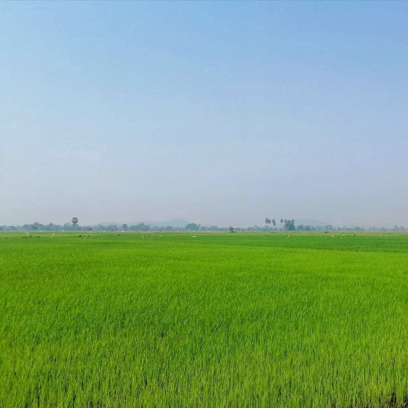 Don Khong - Don Khong, Laos