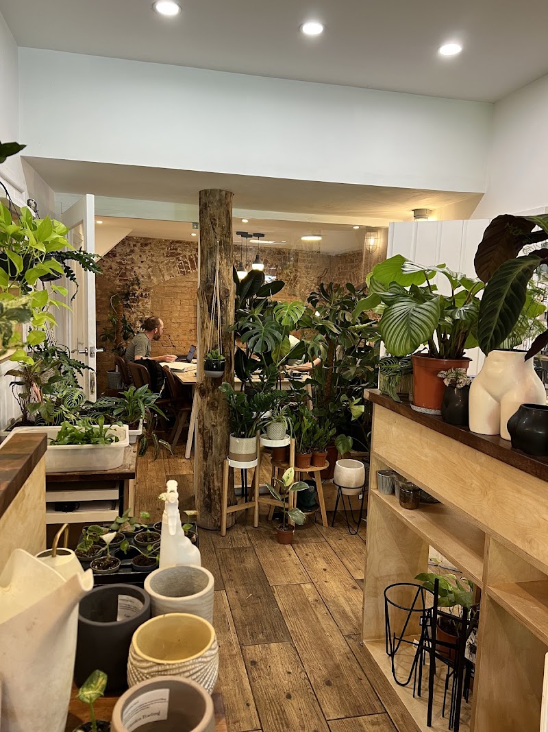 The Travel Cafe - The Travel Cafe 139 Westminster Bridge Rd, London SE1 7HR, UK