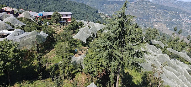 Thanedhar - Thanedhar, 8FFR+363, Narkanda, Thanadhar, Himachal Pradesh 172030, India