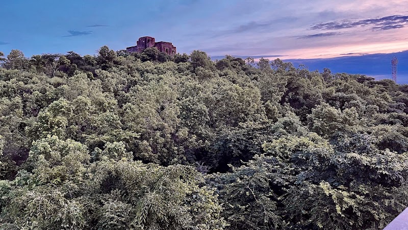 Hillside Sukoon Homestay - Hillside Sukoon Homestay, 2nd floor, Shanti Devi Nivas, C 44 A, Harishankar Puram, Shiram Colony, Lashkar, Gwalior, Madhya Pradesh 474002, India