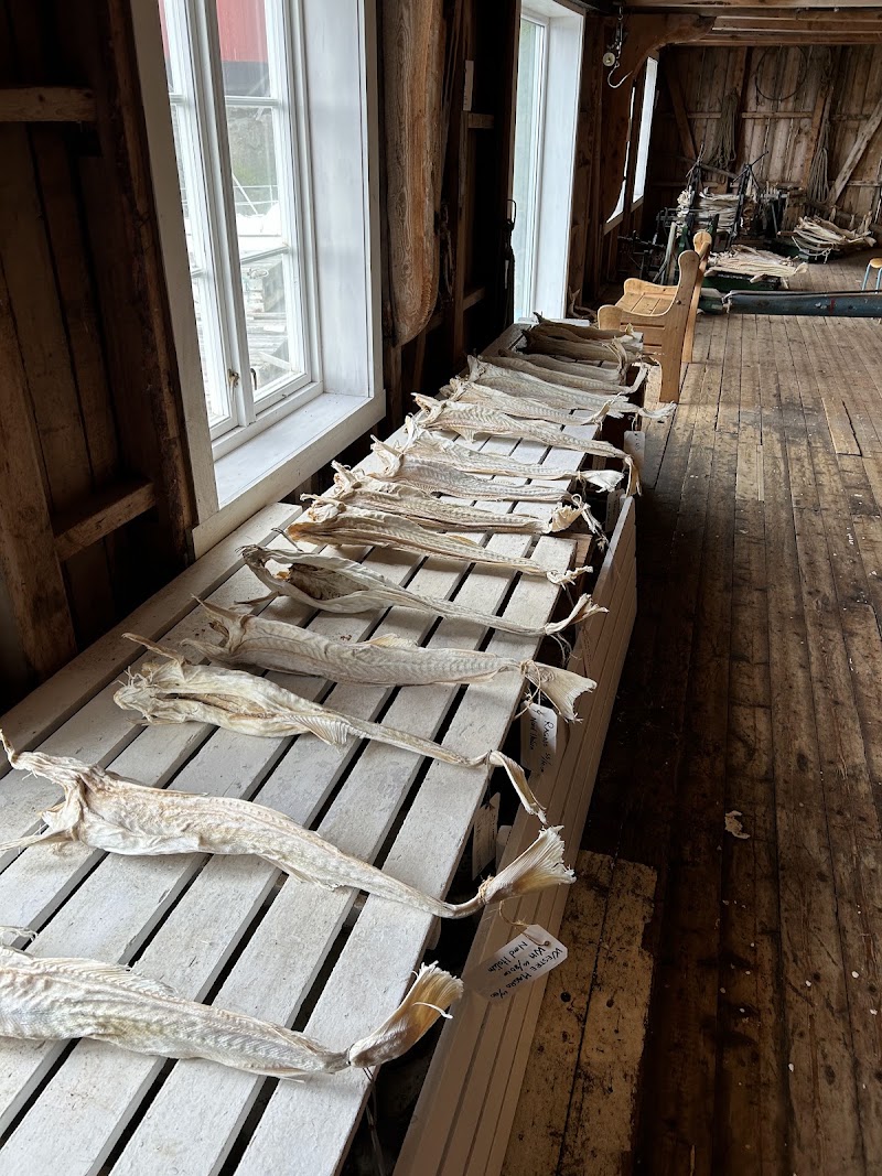 Lofoten Stockfish Museum in Å - Lofoten Stockfish Museum in Å, Moskenesveien 1270, 8392 Å, Norway