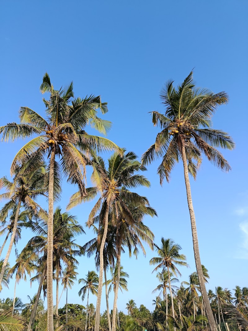 Uswetakeiyawa Beach - Uswetakeiyawa Beach, 2VG6+7MP, Beach Rd, Kandana, Sri Lanka