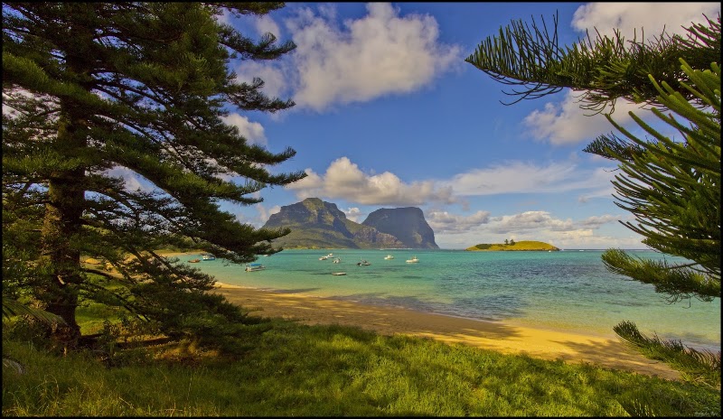Lagoon Road - Lagoon Road, Lagoon Rd, Lord Howe Island NSW 2898, Australia
