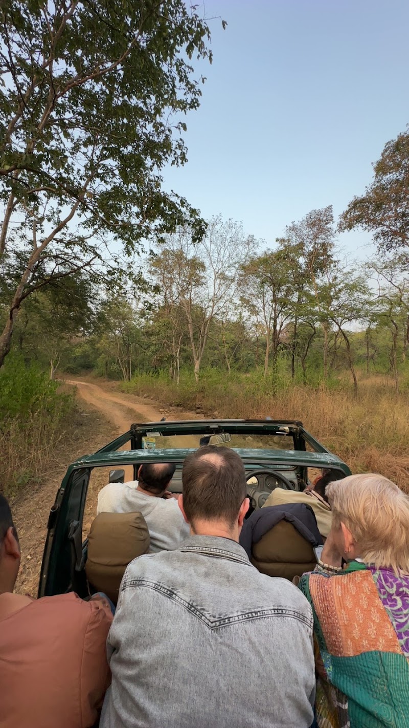 Panna Tiger Safari - Panna Tiger Safari, 40, Road, Mohan Nivas, Kunjvan, Panna, Madhya Pradesh 488001, India