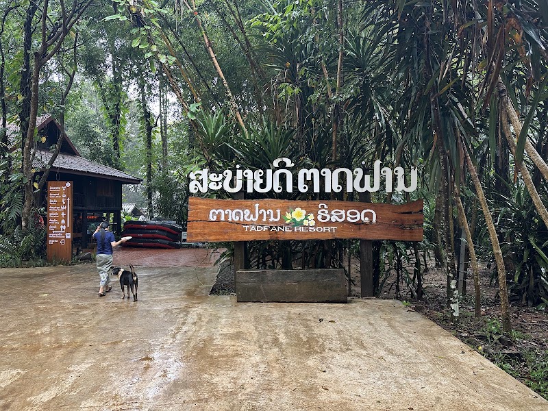 Tad Fane Waterfall - Tad Fane Waterfall, 54JH+6Q5, Paksong KM38, Laos