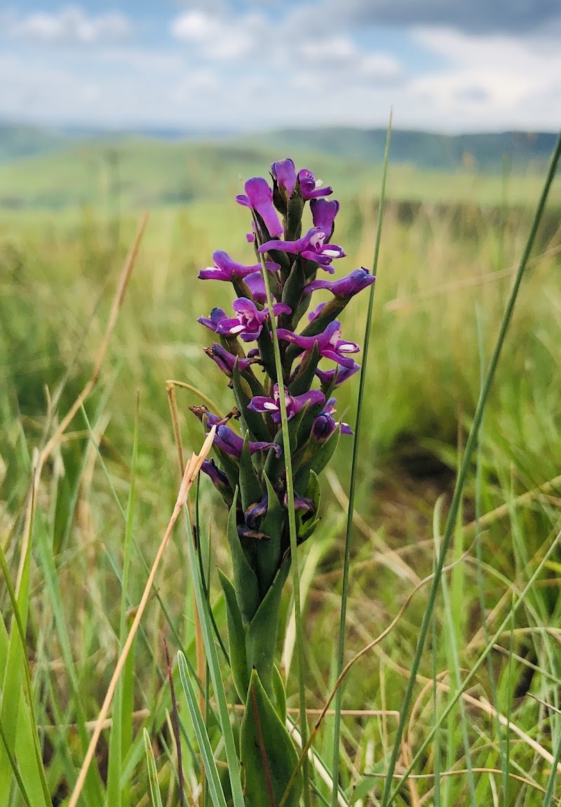 Drakensberg - Drakensberg, Lesotho