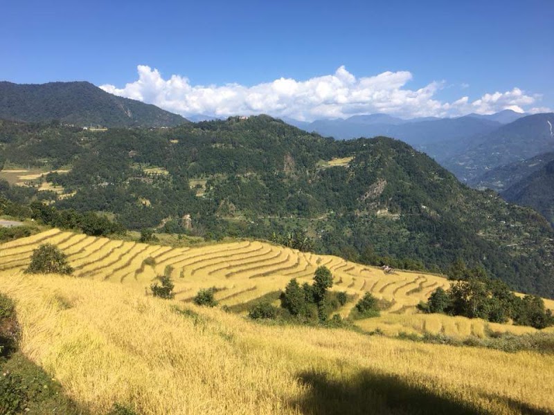 Martam - Martam Martam, Sikkim 737135, India