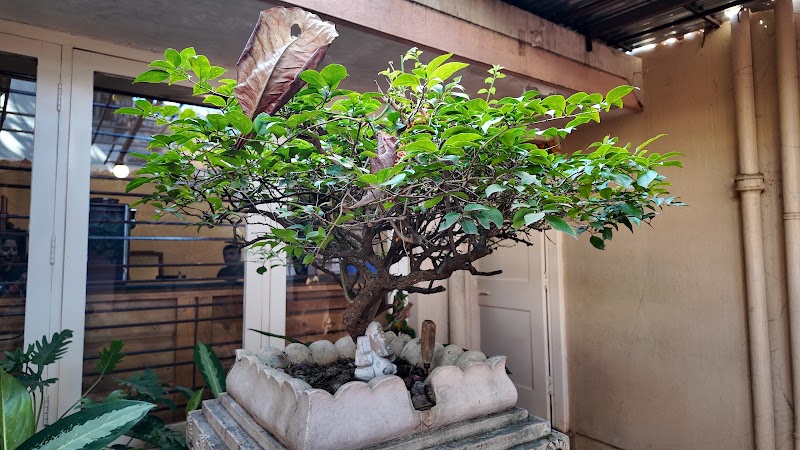 Anokhi Garden Guesthouse and Cafe - Anokhi Garden Guesthouse and Cafe, 408, Contour Rd, near Adithya hospital, Gokulam 2nd Stage, Gokulam, Mysuru, Karnataka 570002, India