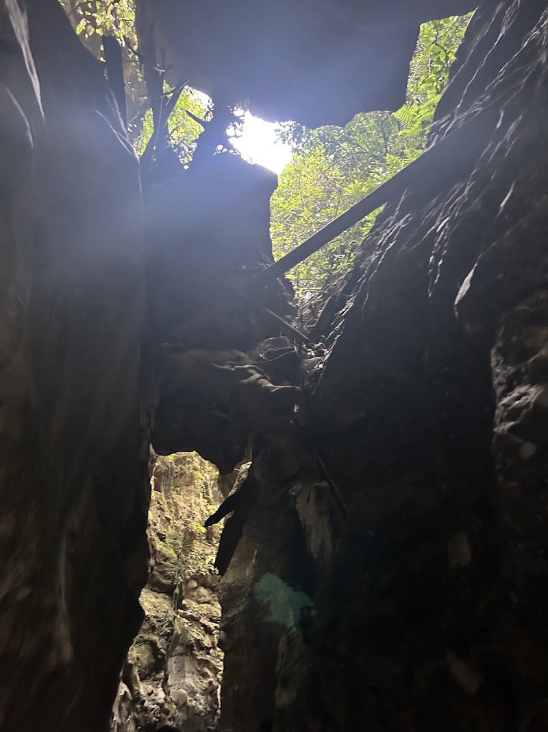 Robbers Cave Cafe - Robbers Cave Cafe near robbers cave, Anarwala, Dehradun, Uttarakhand 248003, India