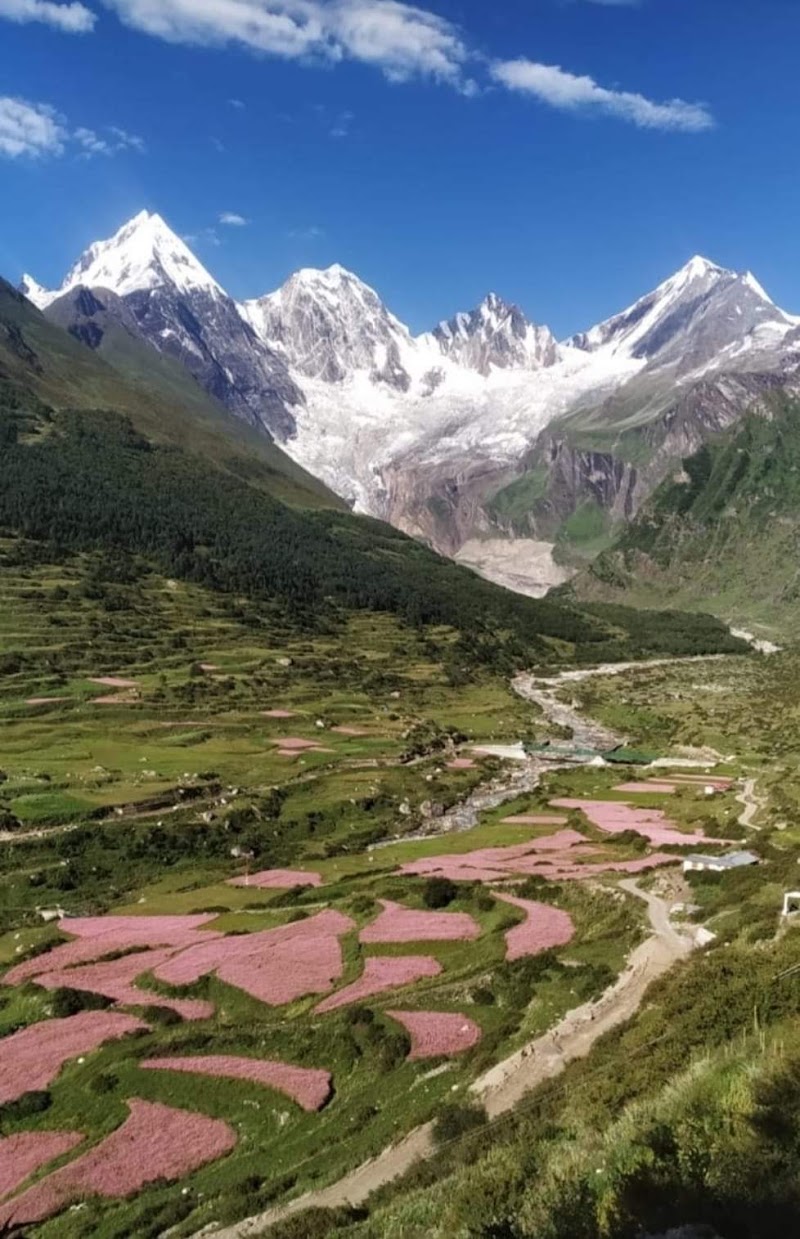 Darma valley - Darma valley, 6GWX+X5Q, Darma, Uttarakhand 262545, India