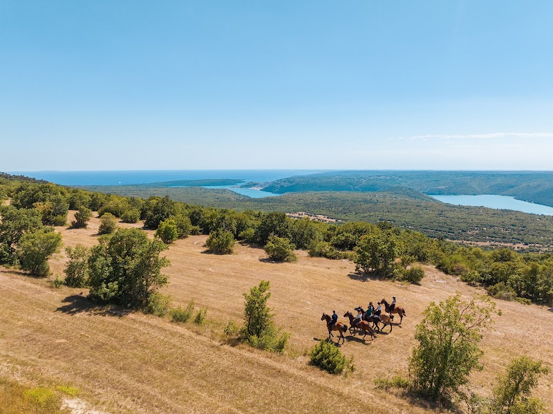 Ranch Marconi