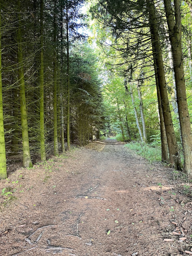 EifelSpuren Toskana der Eifel - EifelSpuren Toskana der Eifel, Sonnenhof, 53945 Blankenheim, Germany