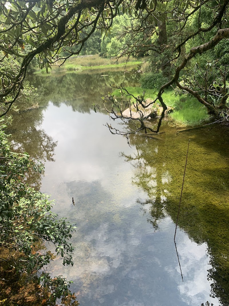 Maheswar Kund - Maheswar Kund, 36JH+36M, Munsyari, Uttarakhand 262554, India