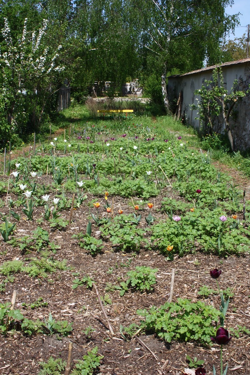 Pouplier Garden - Pouplier Garden, 60 Rue de Saint-Antoine, 93100 Montreuil, France