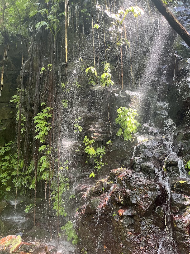 Aling-Aling Waterfall - Aling-Aling Waterfall, Sambangan, Sukasada, Buleleng Regency, Bali 81161, Indonesia